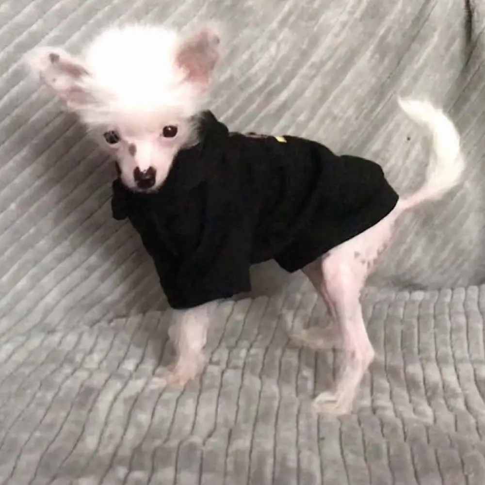 LiLi