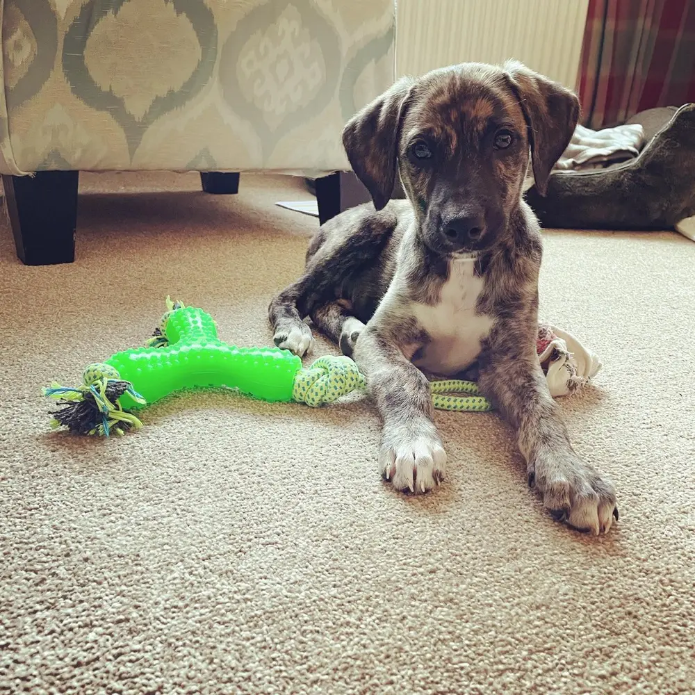 Ralph