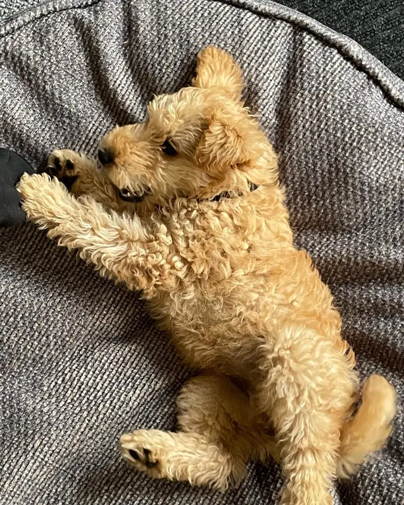 Snug