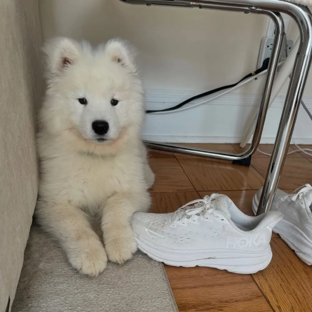 Winnie