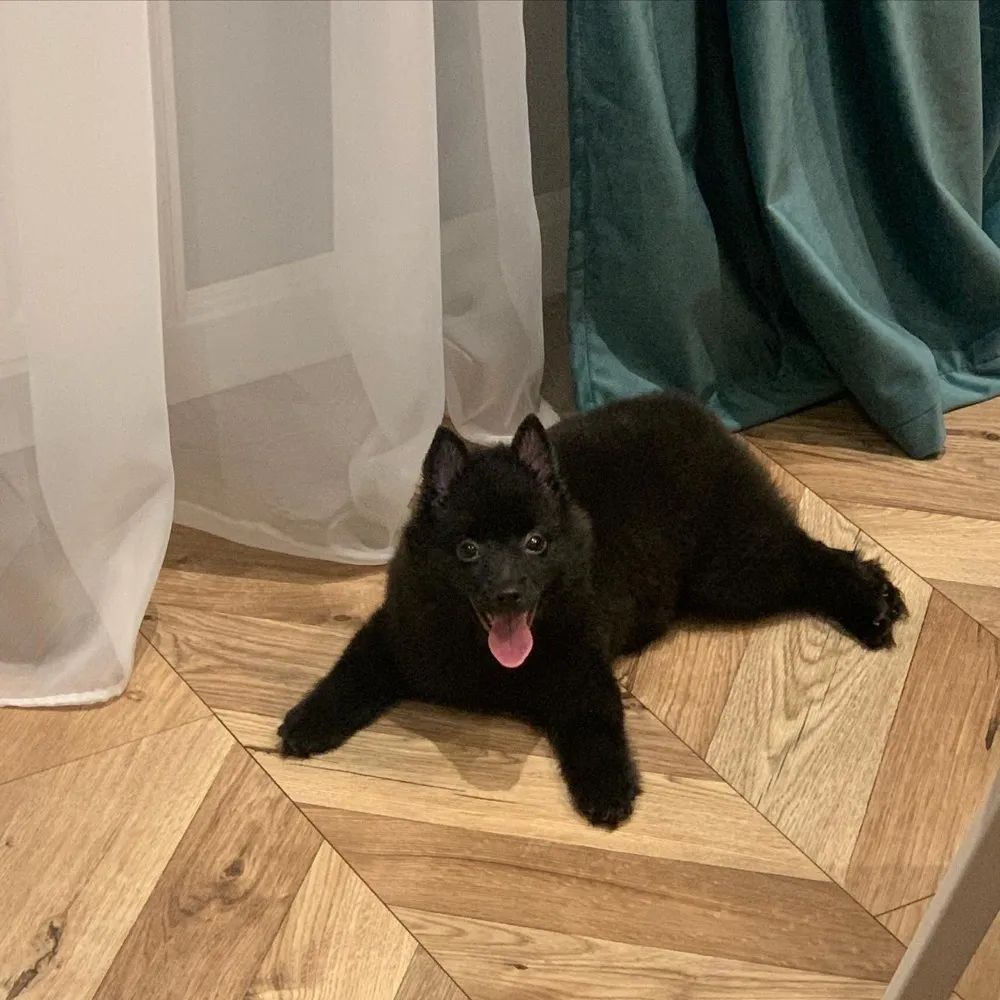Luna