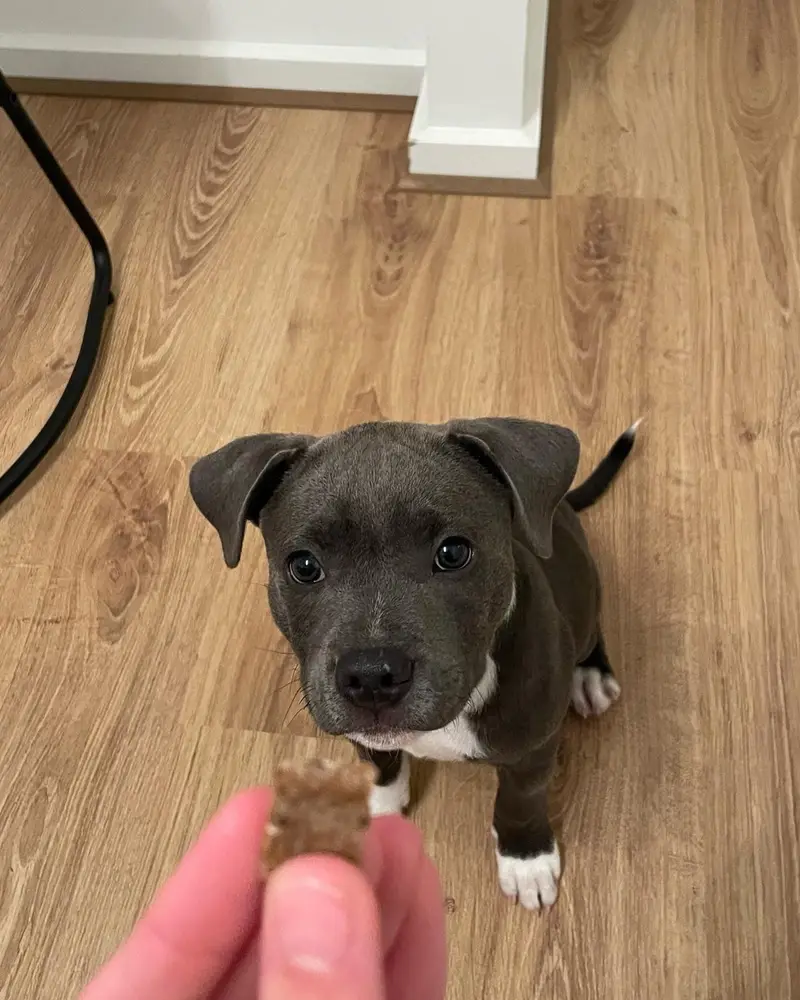 Zeke
